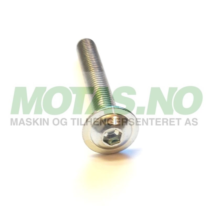 Bolt M8x55 10.9 Umbrako m/flens