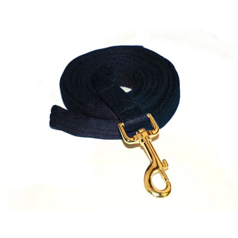 Leietau cushion web blå