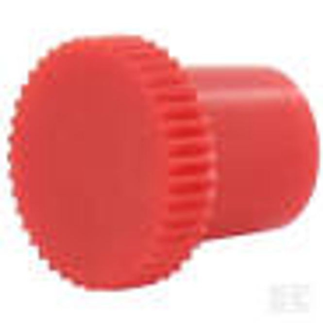 Hovedbilde Hette for smørenippel Kramp