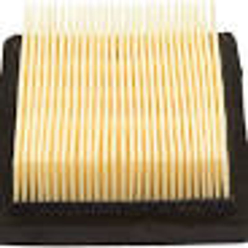 100-450 Tecumseh Luftfilter 36046